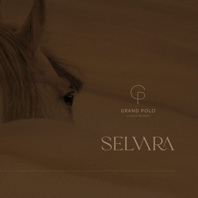 Обложка 768x768 1